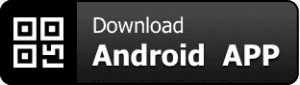 yoexch247 ID