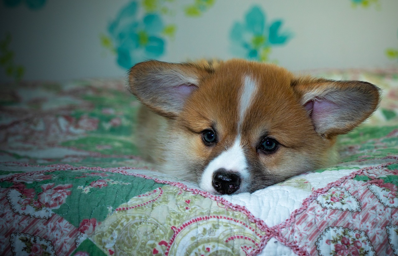 99exch Review: How India’s Premier Online Exchange Platform is Shaping Digital Commerce